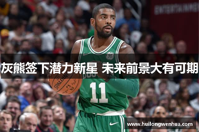 灰熊签下潜力新星 未来前景大有可期