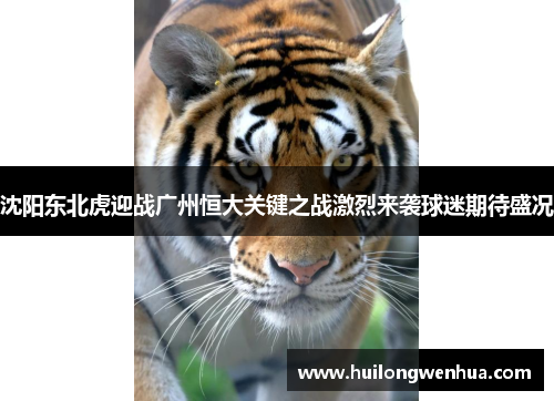 沈阳东北虎迎战广州恒大关键之战激烈来袭球迷期待盛况