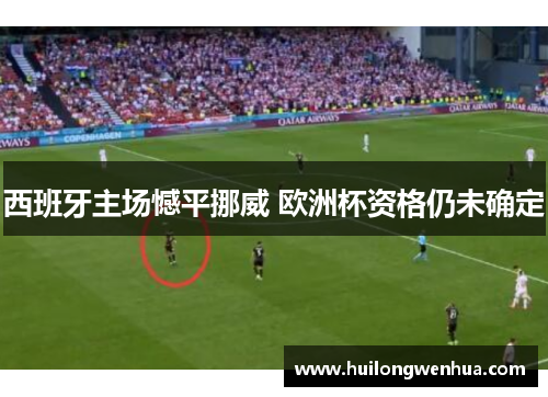 西班牙主场憾平挪威 欧洲杯资格仍未确定