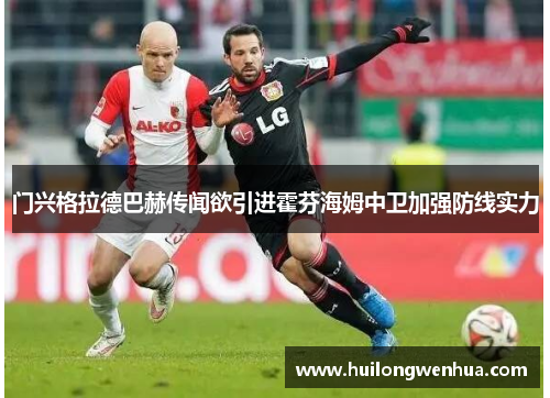 门兴格拉德巴赫传闻欲引进霍芬海姆中卫加强防线实力