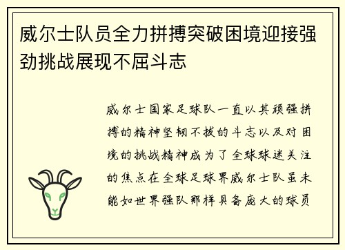 威尔士队员全力拼搏突破困境迎接强劲挑战展现不屈斗志