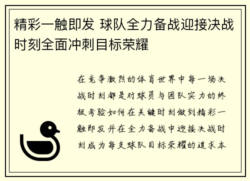 精彩一触即发 球队全力备战迎接决战时刻全面冲刺目标荣耀