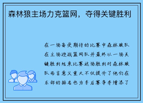 森林狼主场力克篮网，夺得关键胜利